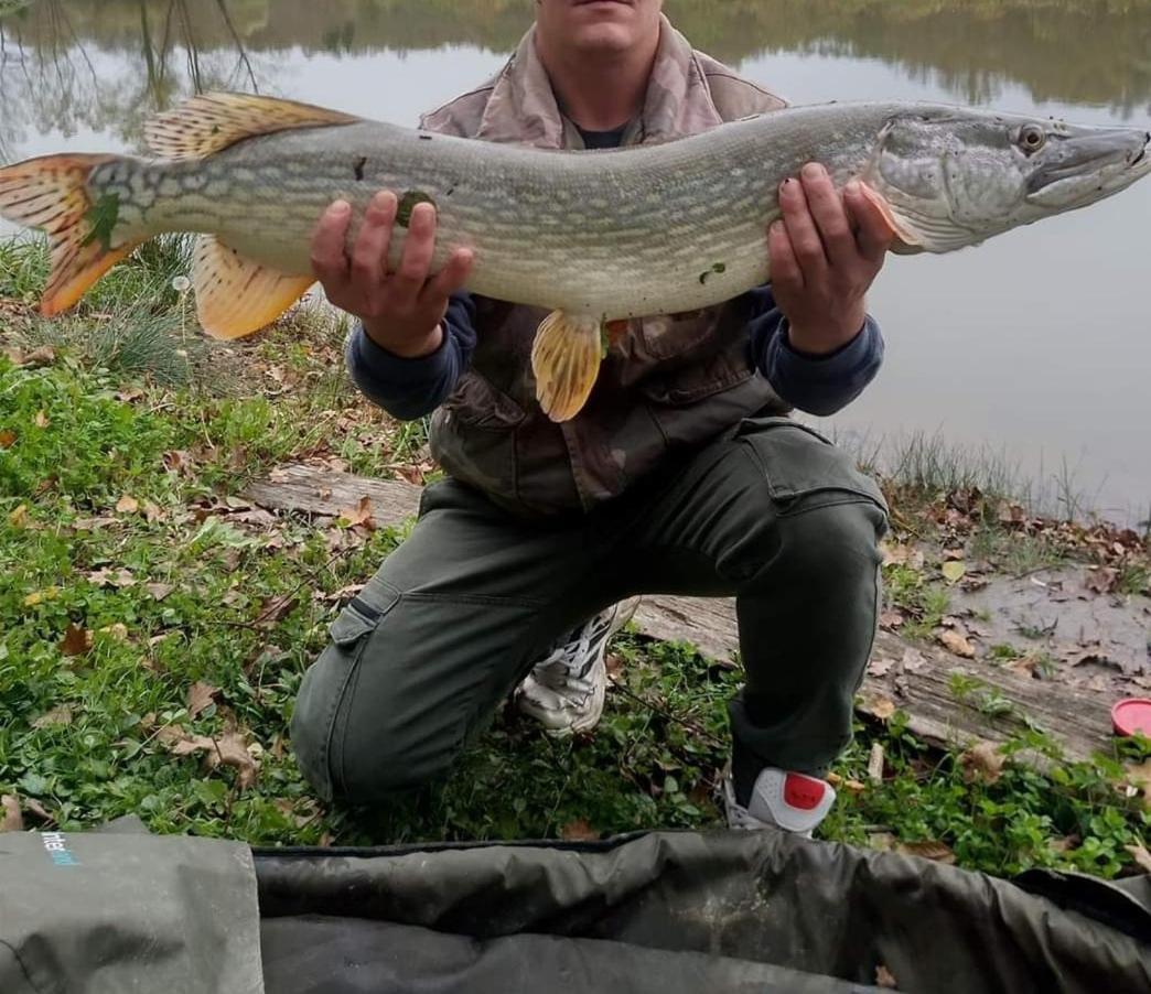 Lake Fishing Resort Lukinic Brdo Bagian luar foto